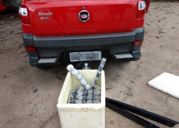 DTE de Feira de Santana apreende meio milhão em cocaína pura