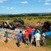 Caminhão carregado de cimento capota e motorista morre na BA 122