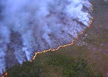 Incêndio florestal atinge há cinco dias área do Parque Monte Pascoal