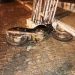Dois indivíduos ficam feridos quando fugiam da Polícia a bordo de uma motocicleta