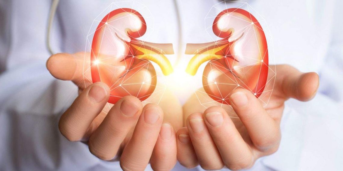 Saúde alerta para prevenção e diagnóstico precoce de doença renal