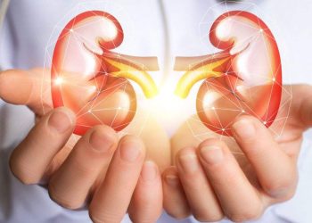 Saúde alerta para prevenção e diagnóstico precoce de doença renal