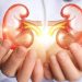 Saúde alerta para prevenção e diagnóstico precoce de doença renal