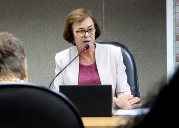 Deputada Neusa Cadore propõe cota de 30% dos principais cargos públicos do estado para mulheres