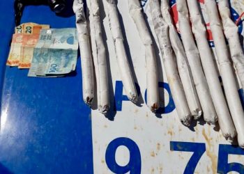 Dez bananas de dinamites apreendidas com dupla em ônibus