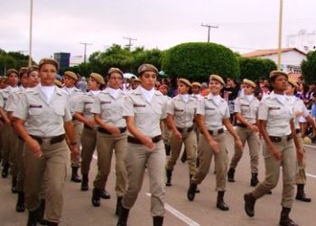 Portais de segurança precisam contar com pfens para revistas em mulheres durante Micareta de Feira