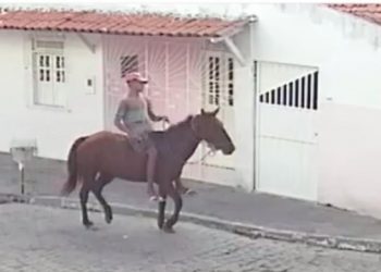 Bandido montado a cavalo volta a agir em Coité