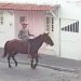 Bandido montado a cavalo volta a agir em Coité