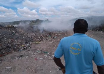 FPI fiscaliza crimes ambientais em dez municípios do centro-norte baiano