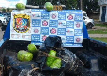 Operação policial termina com um traficante morto e meia tonelada de droga apreendida em Araçás