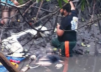 Avião que transportava cantor Gabriel Diniz cai em Sergipe