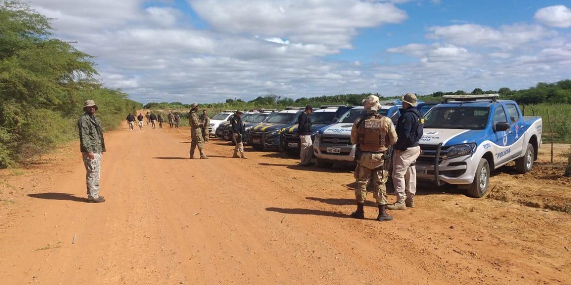 PC, PM e PRF erradicam 1.400 pés de maconha
