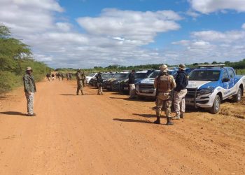 PC, PM e PRF erradicam 1.400 pés de maconha