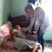 MG – Médica cubana trabalha em restaurante de BH na esperança de voltar a exercer a profissão