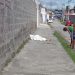 Homem natural de Riachão do Jacuípe é assassinado a tiros em Feira de Santana