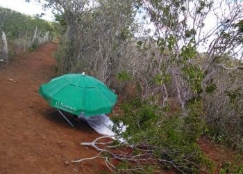 Policias Civil e Militar registram dois homicídios na zona rural de Araci na manhã desta sexta, 31
