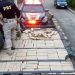 Mais de meia tonelada de maconha que saiu de MG com destino a Serrinha é apreendido na BR 116