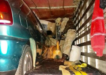 Operação São João: CIPE Nordeste conta com apoio de cão farejador em abordagens