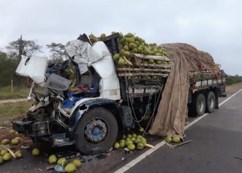 Animais na pista provocam acidente com quatro vítimas fatais na BR 407