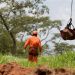 MG – Bombeiros encontram corpo completo em Brumadinho