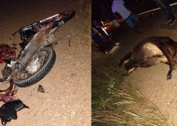 Motociclista morre e carona fica ferido em colisão com vaca na BR 116