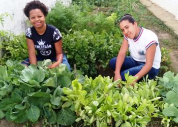 Estado libera 300 mil de investimento em horta escolar para  estimular alimentação saudável e consumo consciente
