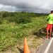 Idoso é encontrado morto supostamente por atropelo as margens da BA 409