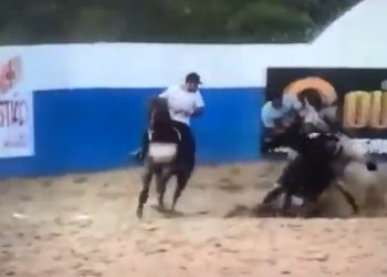 PB- Corredor de vaquejada morre após de desequilibrar de cavalo e animal cair sobre ele