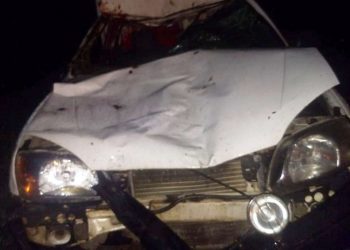 Enfermeira fica ferida após ambulância atropelar animal na BR 324 próximo a Tanquinho