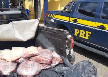 Feira de Santana: PRF flagra 150 quilos de carne bovina transportados irregularmente na BR 116