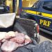 Feira de Santana: PRF flagra 150 quilos de carne bovina transportados irregularmente na BR 116