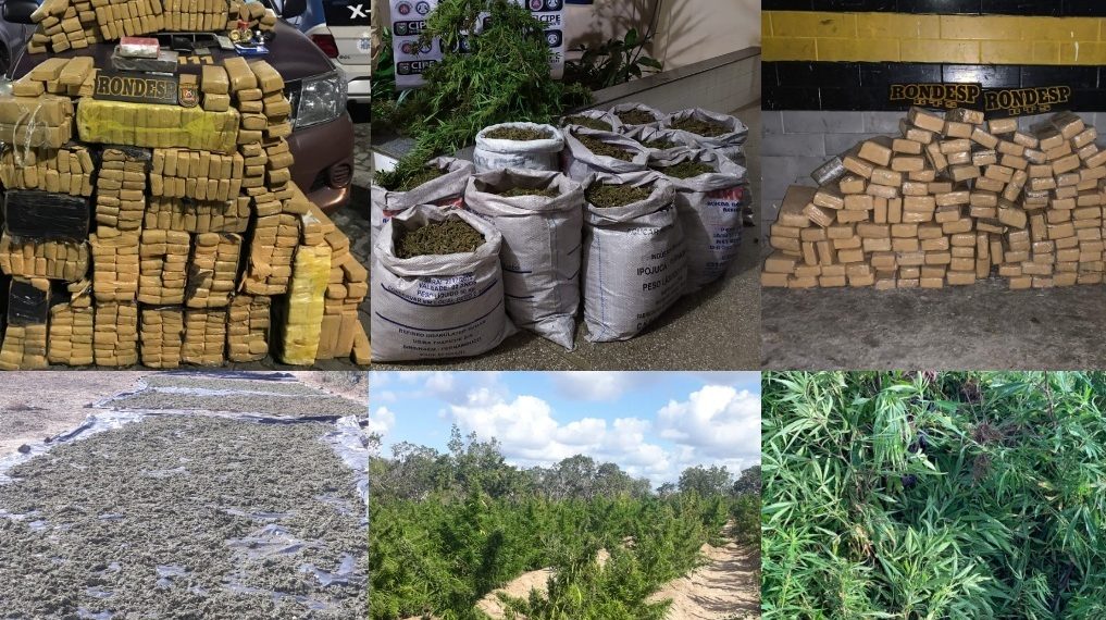 Mais de 1,7 tonelada de maconha apreendida em oito dias