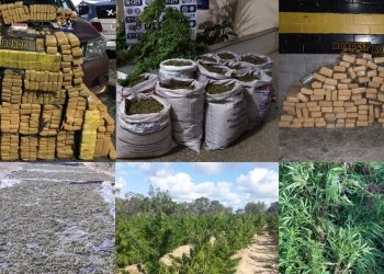 Mais de 1,7 tonelada de maconha apreendida em oito dias