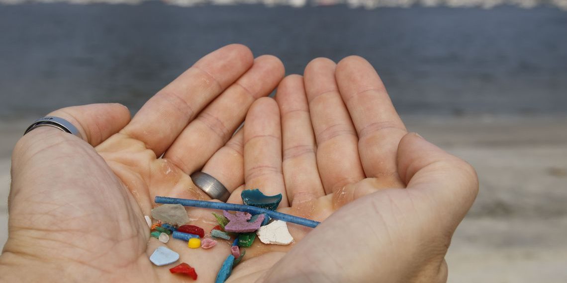Pesquisas indicam ingestão de microplásticos por humanos