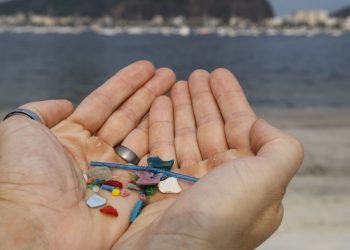Pesquisas indicam ingestão de microplásticos por humanos