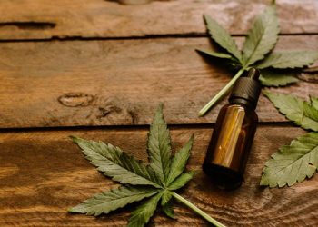 Maioria dos brasileiros apoia uso da maconha na produção de remédios