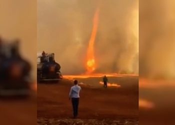GO – ‘Redemoinho de fogo’ se forma durante queimada em fazenda; Veja o vídeo