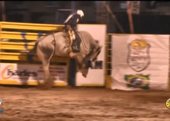 ES – Peão morre pisoteado por touro durante rodeio