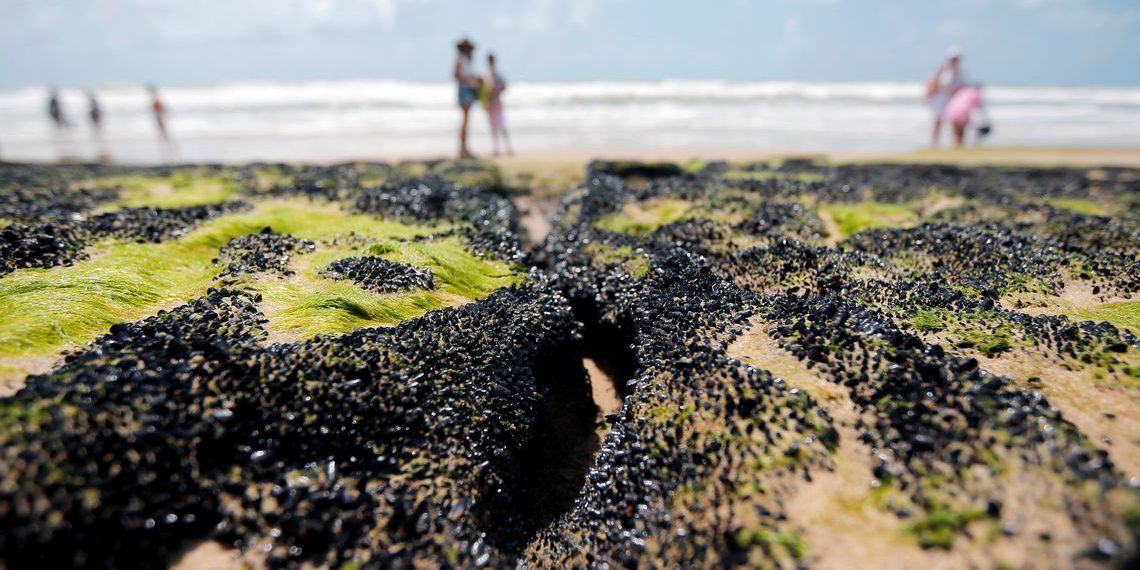 Governo libera R$ 130 milhões para seguro-defeso a pescadores do NE