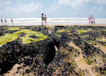Governo libera R$ 130 milhões para seguro-defeso a pescadores do NE