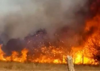 Incêndio de grandes proporções atinge área de vegetação na cidade de Abaré