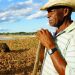 Valente: Prefeitura firma parceria com o INSS para pleitear aposentadoria rural