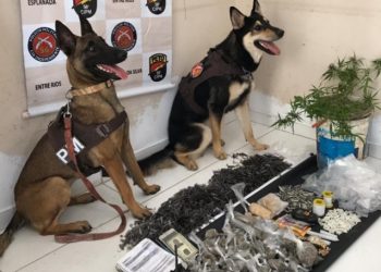 Cães farejadores localizam ponto de armazenamento de drogas; dois homens foram presos