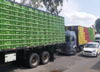 ADAB apreende três caminhões de galinha sem documentação na BR-116