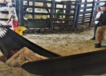 Vaquejada de Serrinha aparece na nova ‘ficha suja’ por manter pessoas em condições de trabalho escravo