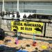 Protesto do Greenpeace espalha óleo na frente do Palácio do Planalto