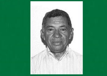 Ex-vereador de Nova Soure morre após ser atacado por abelhas