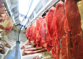 Entenda alguns motivos da alta no preço da carne bovina para o consumidor final