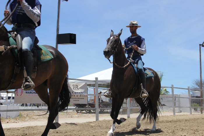 Valente: Com a realização da II Copa de Marcha, Haras Rios & Rios se consagra como uma das maiores do Brasil