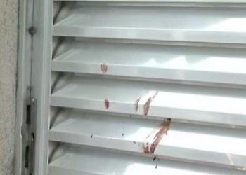 SP – Após receber resultado de teste de DNA, homem mata cinco pessoas e se mata